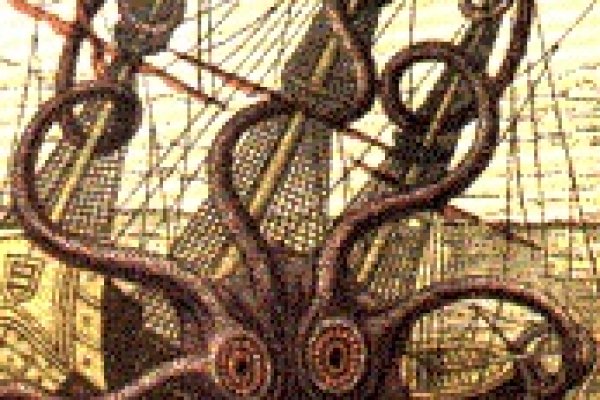 Kraken как найти ссылку