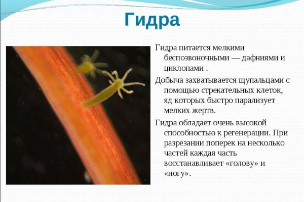 Кракен ссылка зеркало