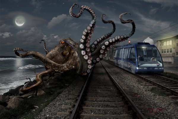 Kraken 6at