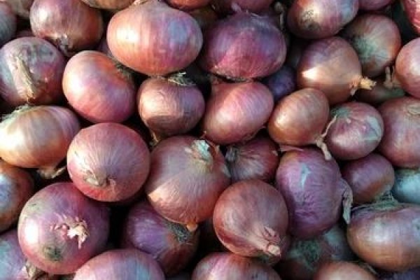 Ссылка кракен не работает
