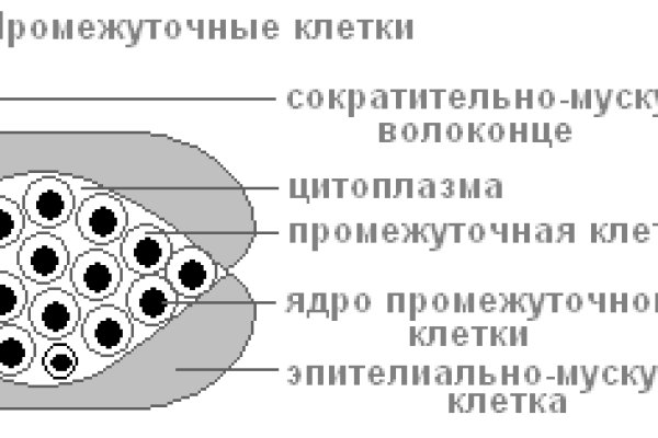 Кракен нет