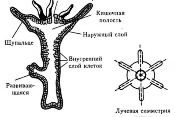 Кракен ссылка официальная в тор