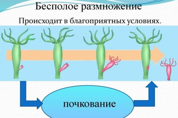 Запрещенный сайт кракен
