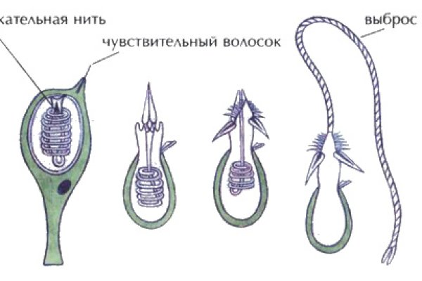 Сайт кракен рабочая ссылка