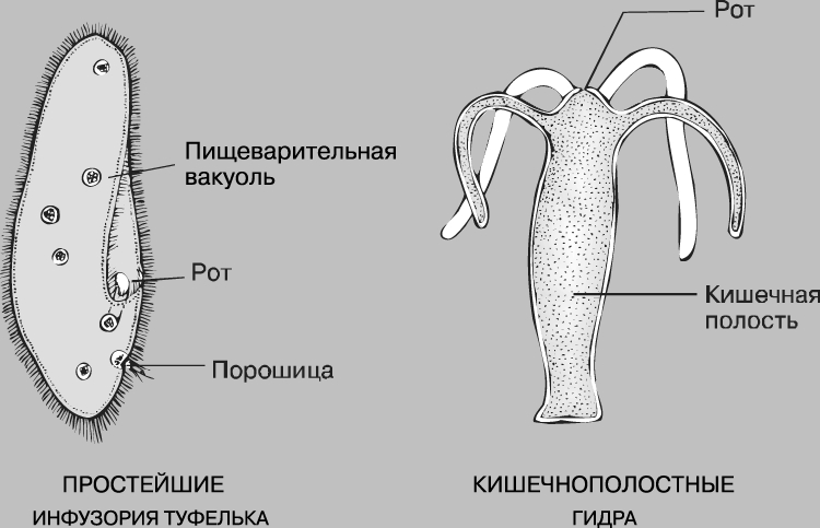 Кракен вход официальная ссылка